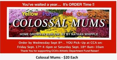 Annual Colossal Mum Sale!