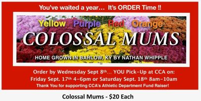 Annual Colossal Mum Sale!